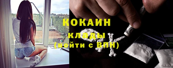 бошки Горняк