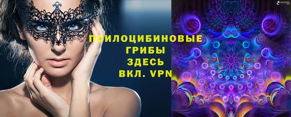 бошки Горняк