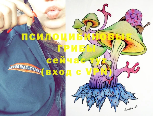ECSTASY Горнозаводск