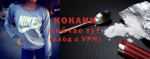 бошки Горняк