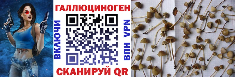 как найти наркотики Черногорск Галлюциногенные грибы ЛСД